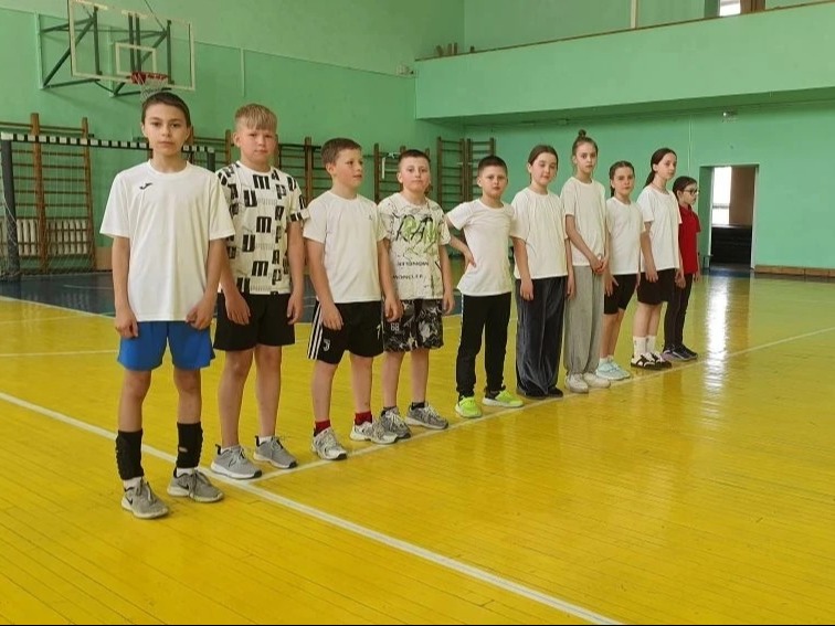 Соревнования по пионерболу Соревнования по пионерболу.